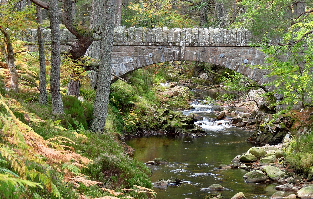 Glen Tanar