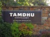 Tamdhu